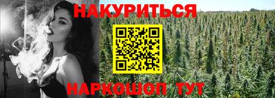 jwh Будённовск