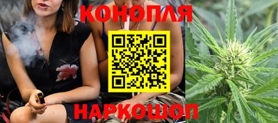 jwh Будённовск