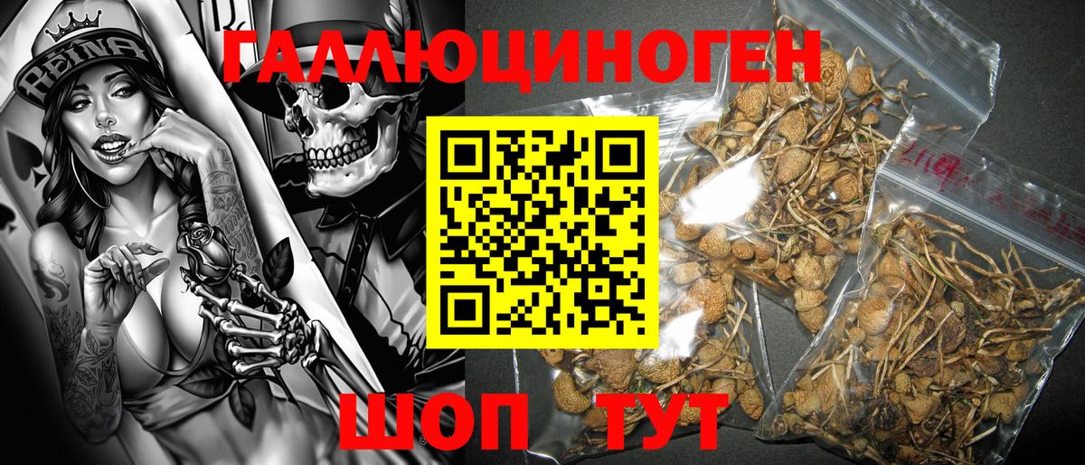 Псилоцибиновые грибы мухоморы  Вход с VPN  Саров 