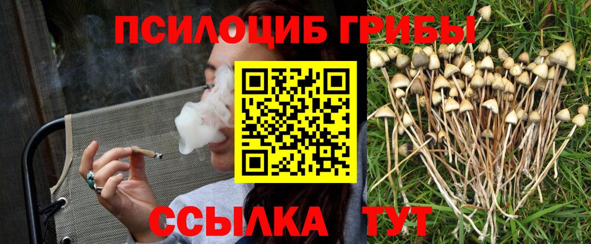 Псилоцибиновые грибы Psilocybine cubensis Саров